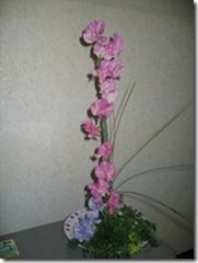 0510-thumb