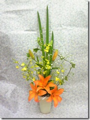 Image113