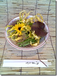 Image2208 ひまわり 