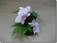 木イチゴ・吾亦紅・胡蝶蘭