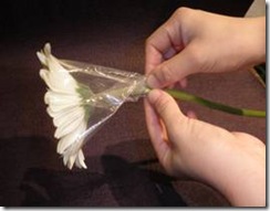 clip_image001[10]