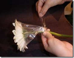 clip_image001[12]
