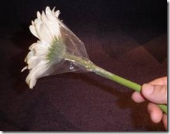 clip_image001[14]