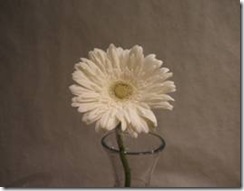 clip_image001[18]