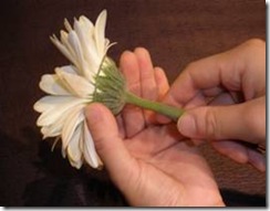 clip_image001[30]