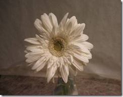 clip_image001[34]