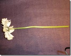 clip_image001[40]