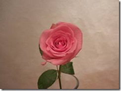 clip_image001[42]