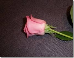 clip_image001[48]