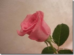 clip_image001[50]