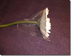 clip_image001[6]