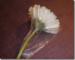 clip_image001[8]