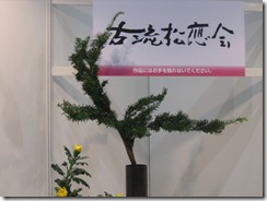 フラワードリーム２０１１ 011